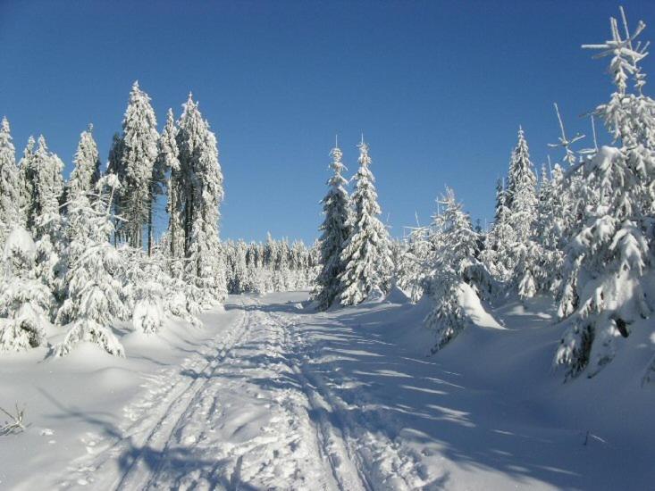 Chata Cert Josefův Důl Buitenkant foto