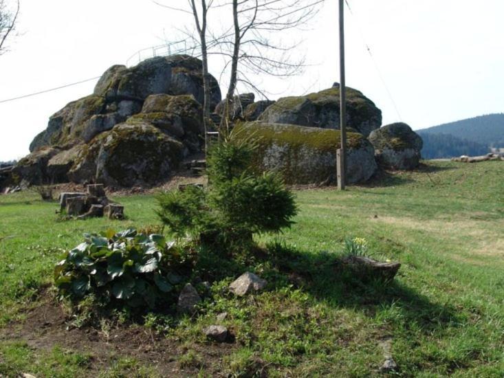Chata Cert Josefův Důl Buitenkant foto